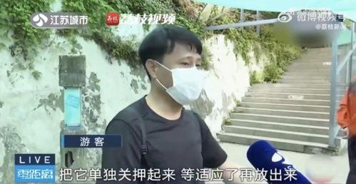 网红男朋友吃瓜爆料,娱乐圈背后的惊人真相