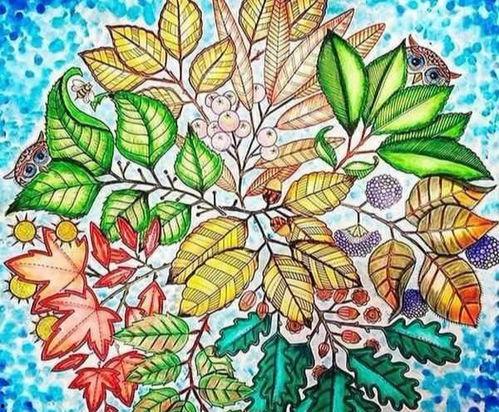 秘密花园吃瓜官网,吃瓜官网带你领略神秘瓜界风采