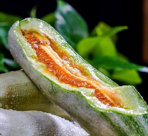 网红瓜在哪儿吃最好