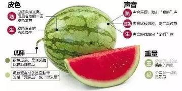 温岭网红吃瓜群微信,揭秘网络社交圈的“瓜田”盛景